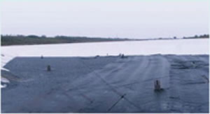 ������Ӧ��