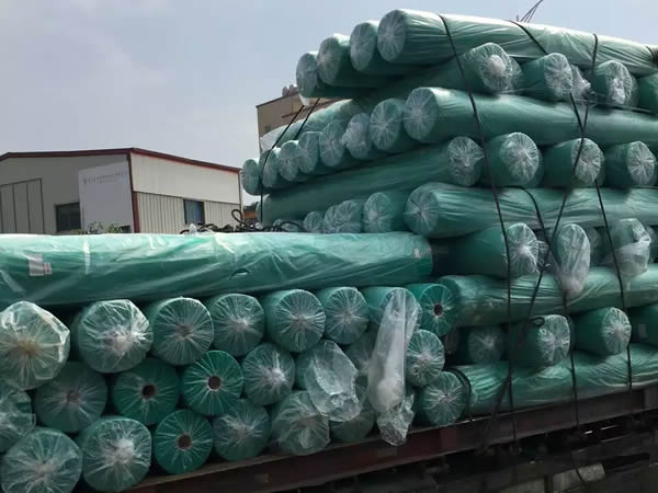 ������ɫ�޷Ĳ�