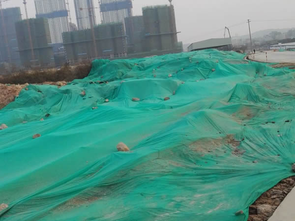 �����ֳ���������������